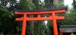 箱根神社のパワースポット 鳥居